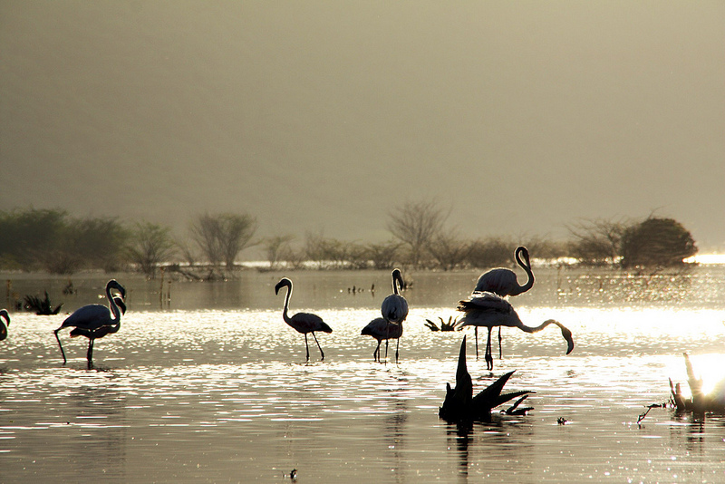 ボゴリア湖の画像6