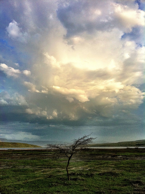 ボゴリア湖の画像7