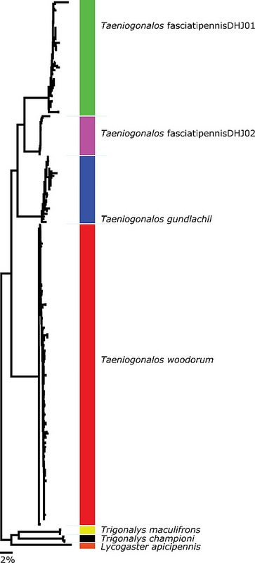 グアナカステ保全地域の画像3