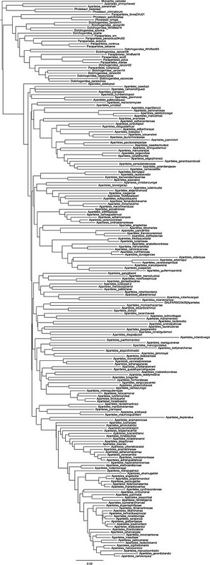 グアナカステ保全地域の画像4