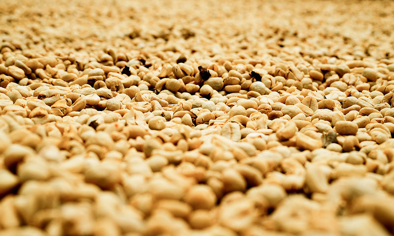 コロンビアのコーヒー産地の文化的景観の画像2