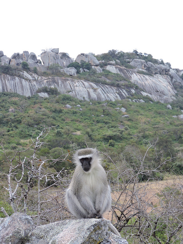 大ジンバブエ国立記念物の画像22
