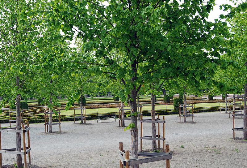 ドロットニングホルムの王領地の画像14