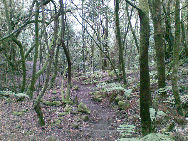 ガラホナイ国立公園の画像5