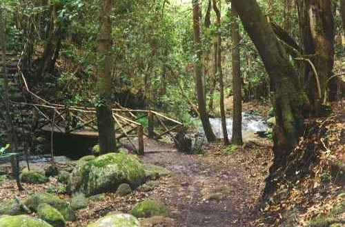 ガラホナイ国立公園の画像6