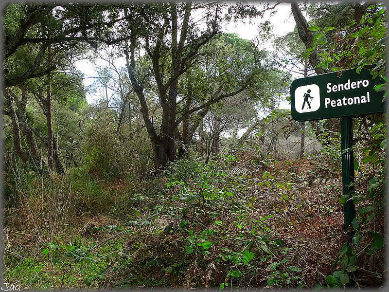 ドニャーナ国立公園の画像12