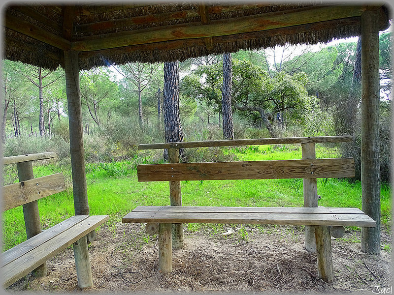 ドニャーナ国立公園の画像21