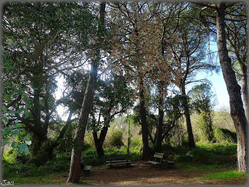ドニャーナ国立公園の画像26