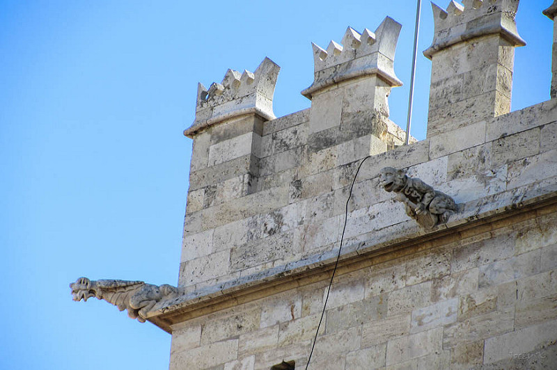 バレンシアのラ・ロンハ・デ・ラ・セダの画像25