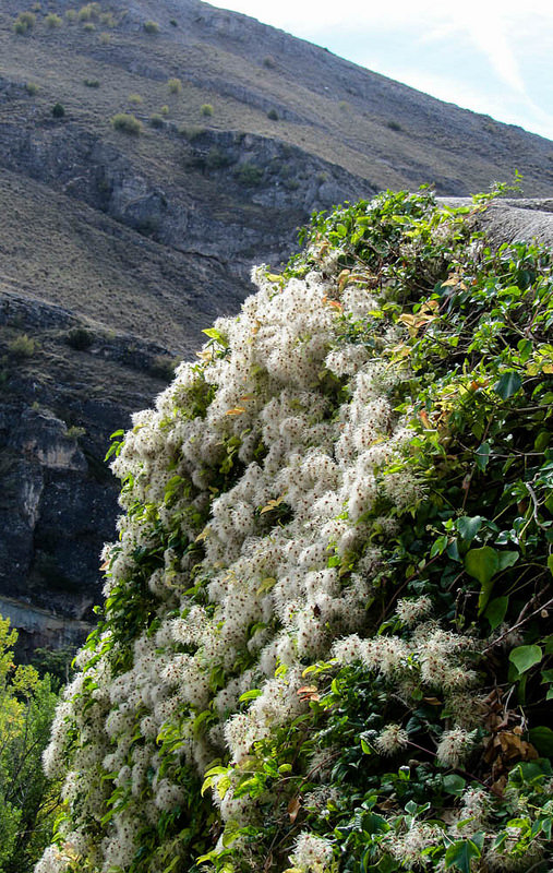 要塞都市クエンカの画像9
