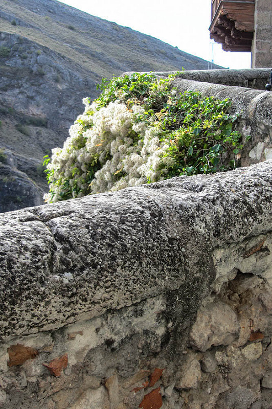 要塞都市クエンカの画像10