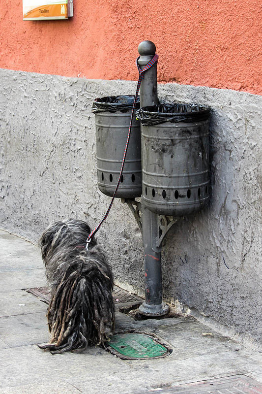 要塞都市クエンカの画像18