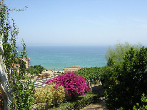 ローマ劇場の画像7