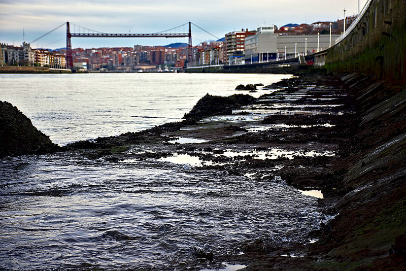 ビスカヤ橋の画像13