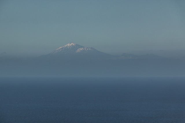 テイデ国立公園の画像15
