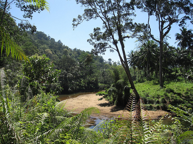 シンハラジャ森林保護区の画像13