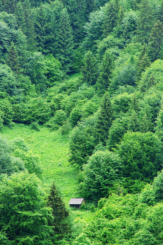 ヴルコリニェツの伝統的集落の画像11