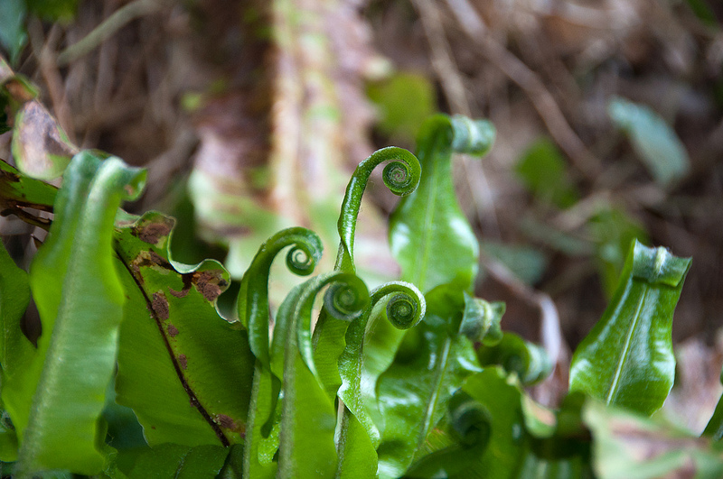 シュコツィアン洞窟群の画像13