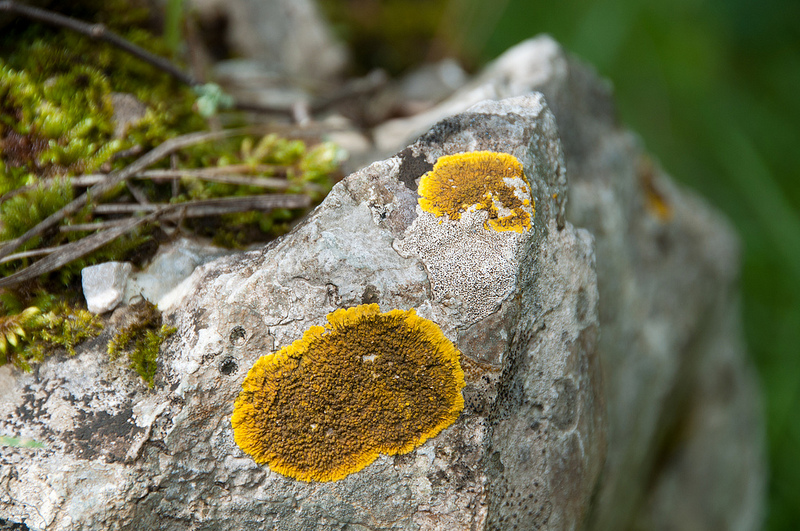 シュコツィアン洞窟群の画像18