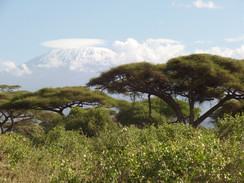 キリマンジャロ国立公園の画像7