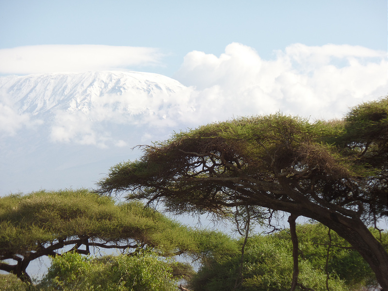キリマンジャロ国立公園の画像8