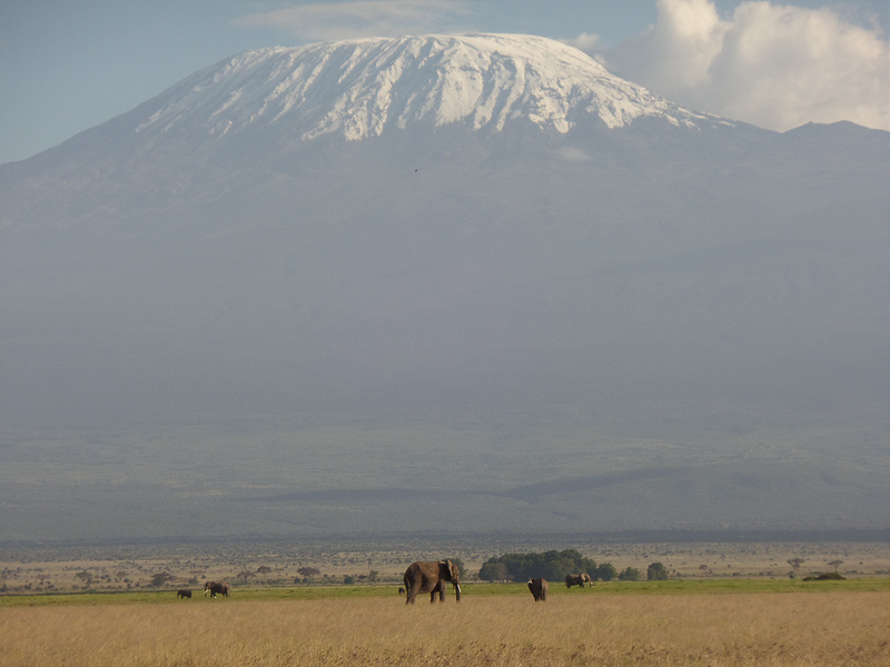 キリマンジャロ国立公園の画像11