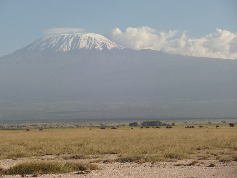 キリマンジャロ国立公園の画像15