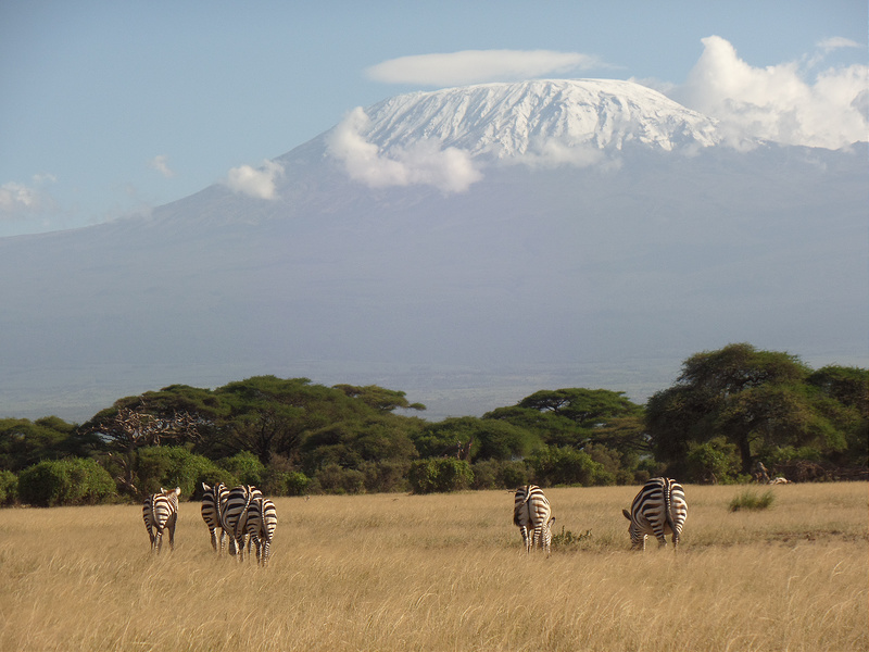 キリマンジャロ国立公園の画像18