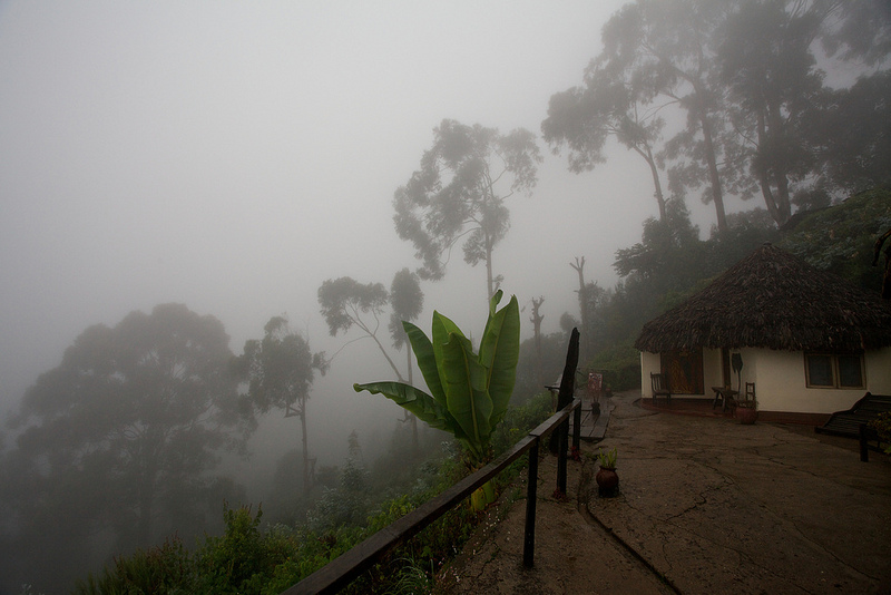 キリマンジャロ国立公園の画像21
