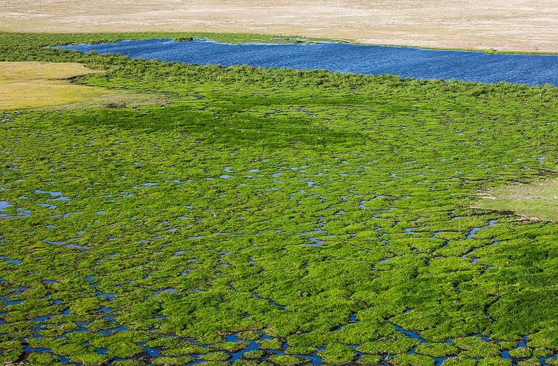 キリマンジャロ国立公園の画像22