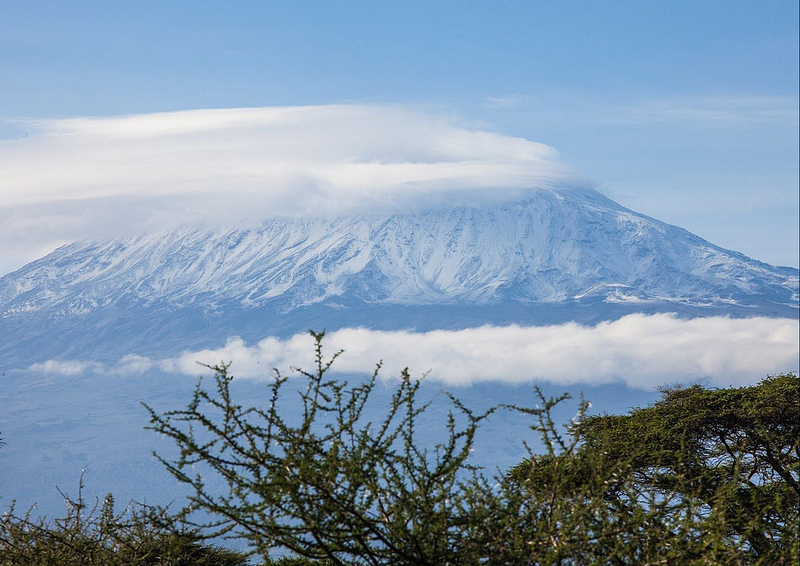 キリマンジャロ国立公園の画像23