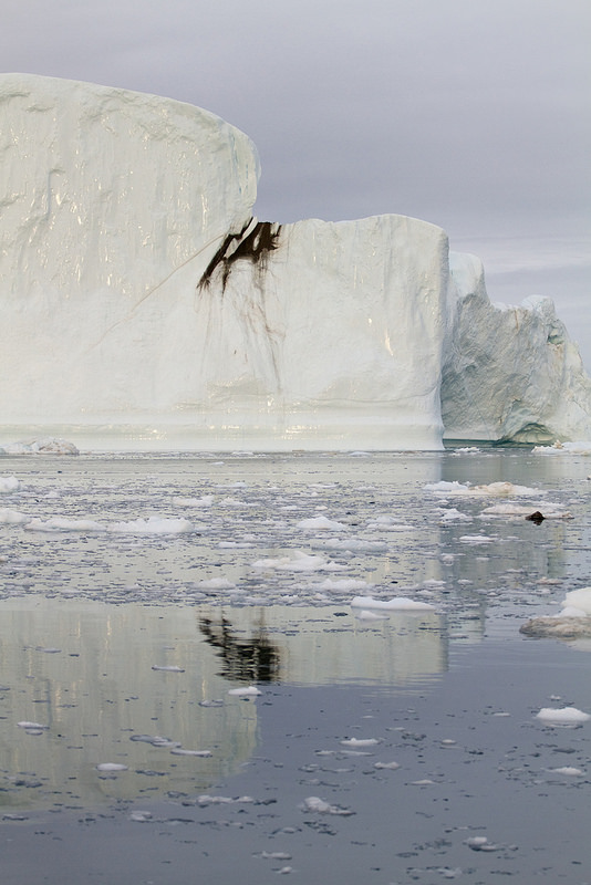 イルリサット・アイスフィヨルドの画像25