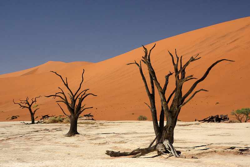 ナミブ砂海の画像7