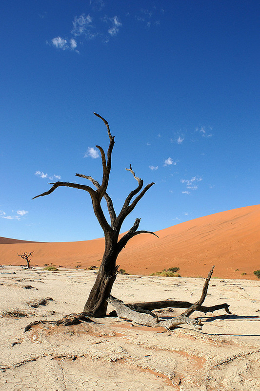 ナミブ砂海の画像8