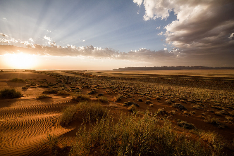 ナミブ砂海の画像9