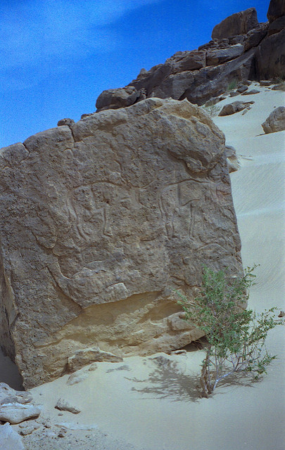 アイルとテネレの自然保護区群の画像3