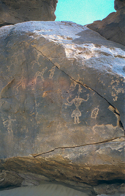 アイルとテネレの自然保護区群の画像4