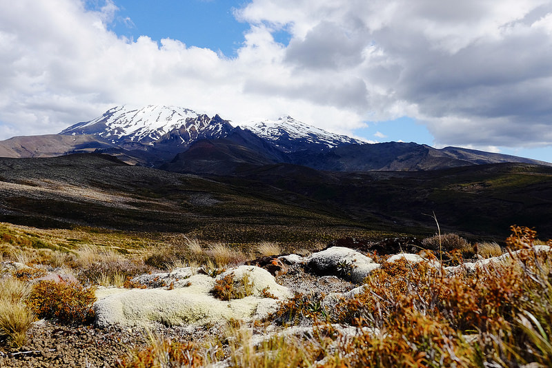トンガリロ国立公園の画像5