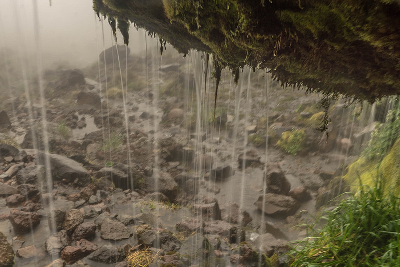 トンガリロ国立公園の画像10