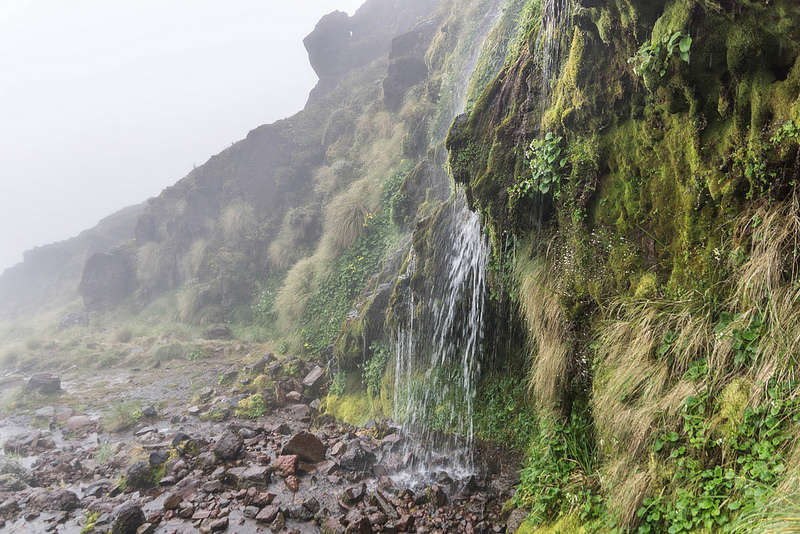 トンガリロ国立公園の画像11