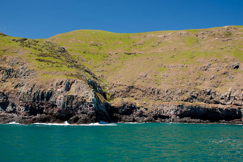 ニュージーランドの亜南極諸島の画像11