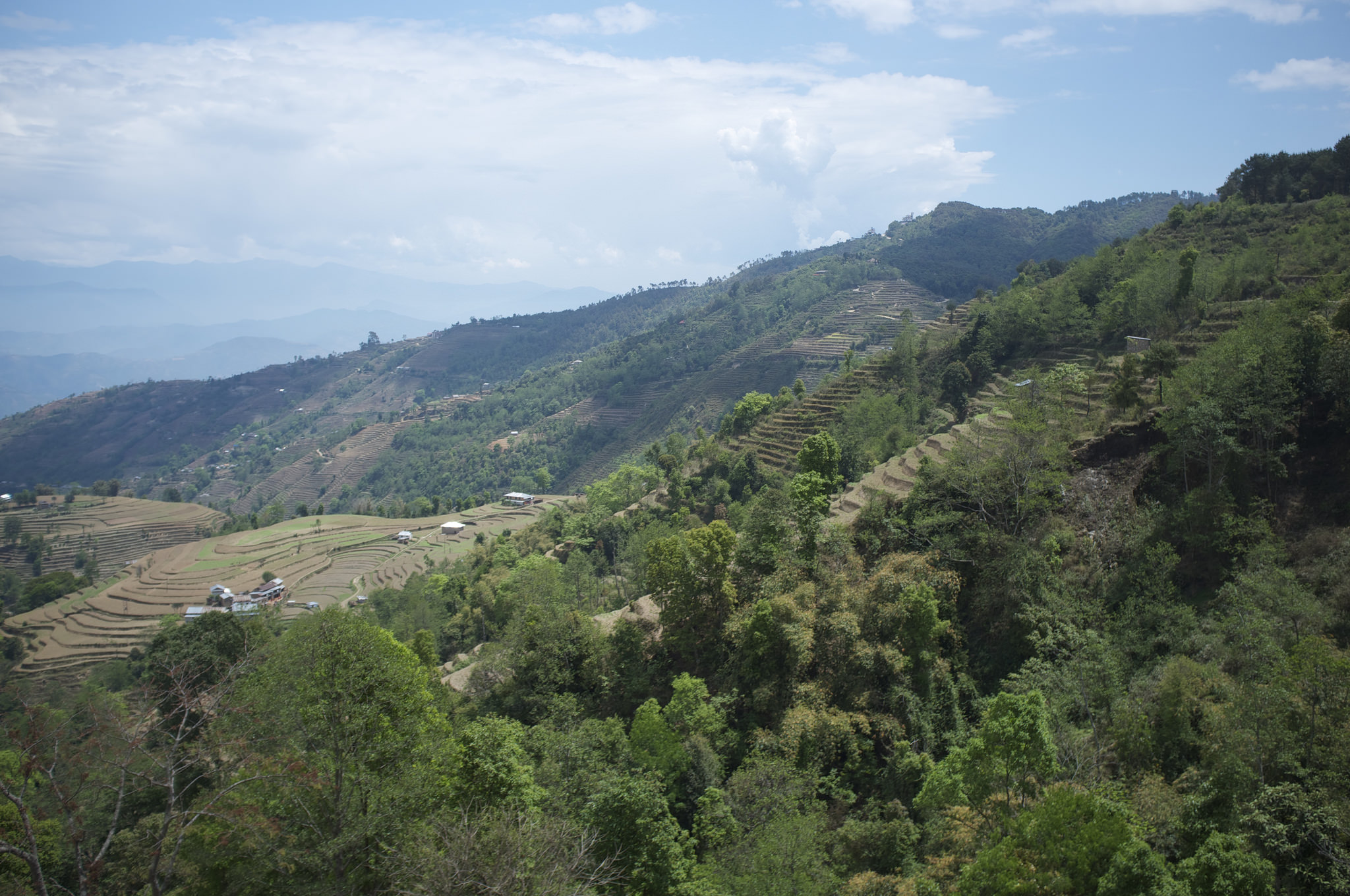 カトマンズの谷の画像13