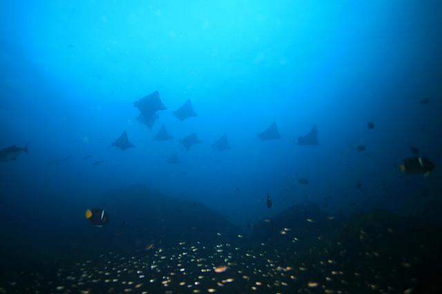 コイバ国立公園とその海洋保護特別地帯の画像2