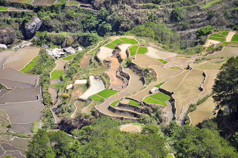 フィリピン・コルディリェーラの棚田群の画像4