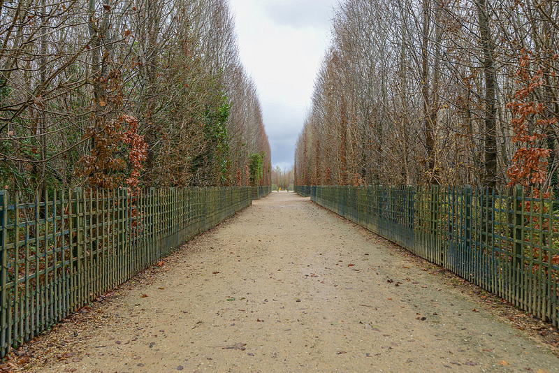ヴェルサイユ宮殿と庭園の画像22