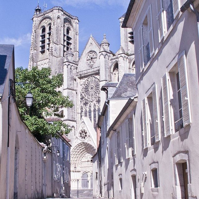 ブールジュ大聖堂の画像13