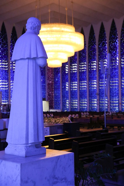 ブラジリアの画像7