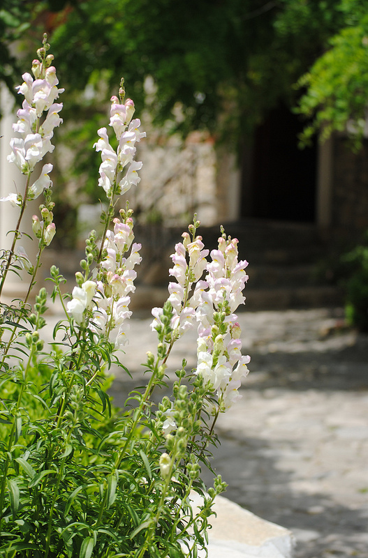 古代都市ネセバルの画像12