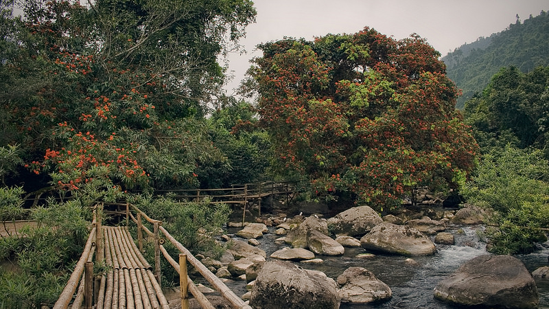 フォン・ニャ-ケ・バン国立公園の画像2