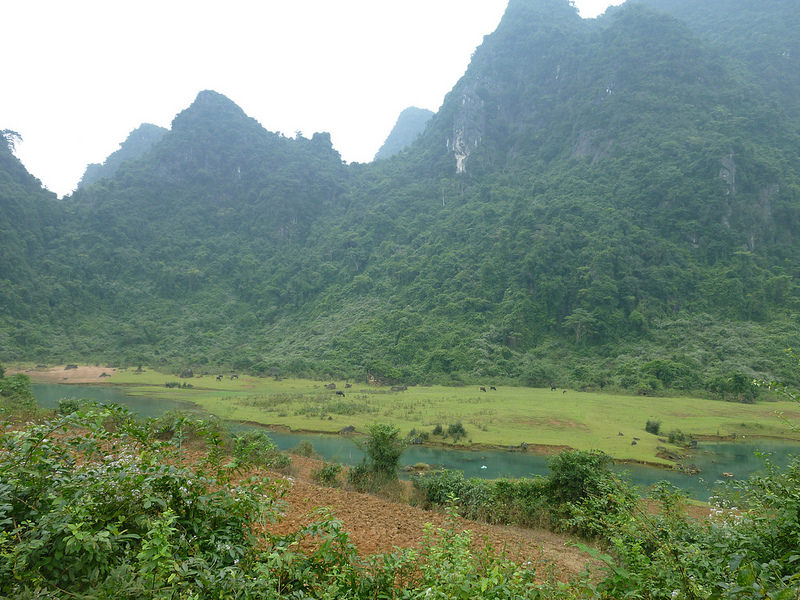 フォン・ニャ-ケ・バン国立公園の画像21
